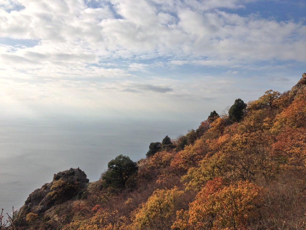 Резервне з panoramio.com (ч.4) - Резервное