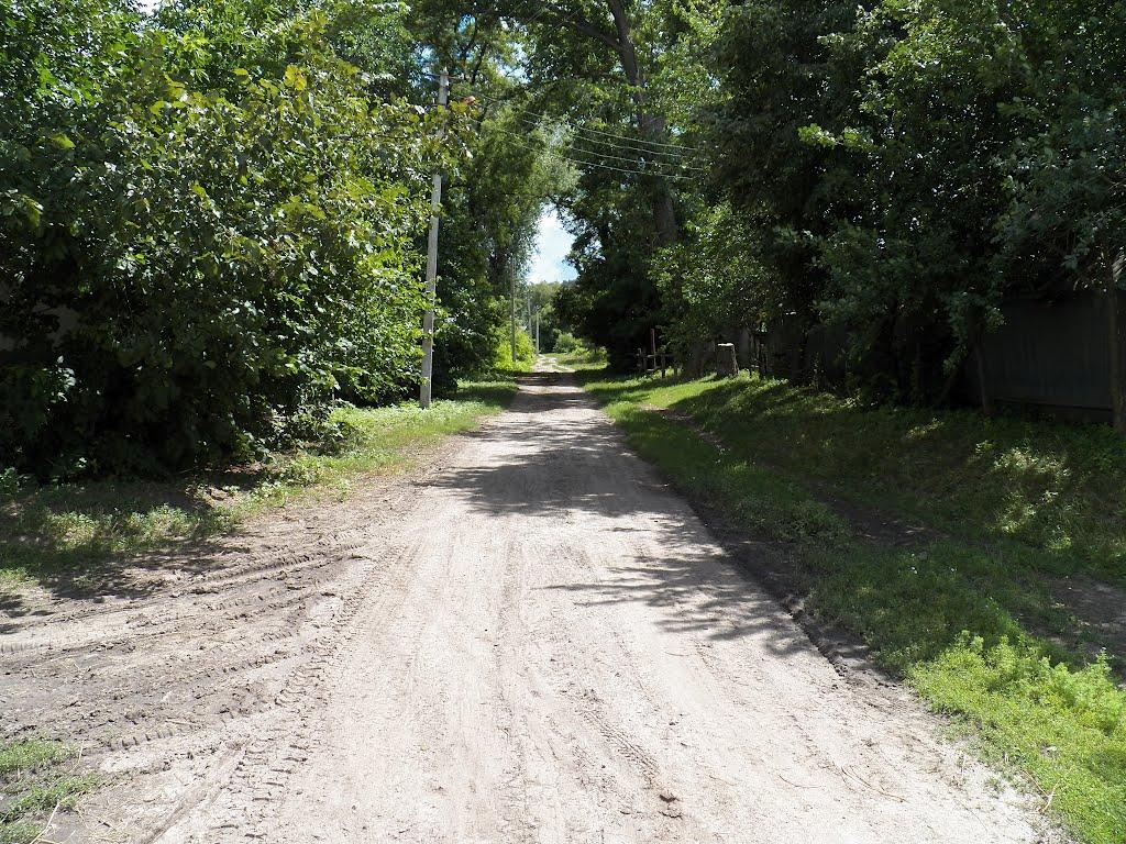 Поділ з panoramio.com - Подол