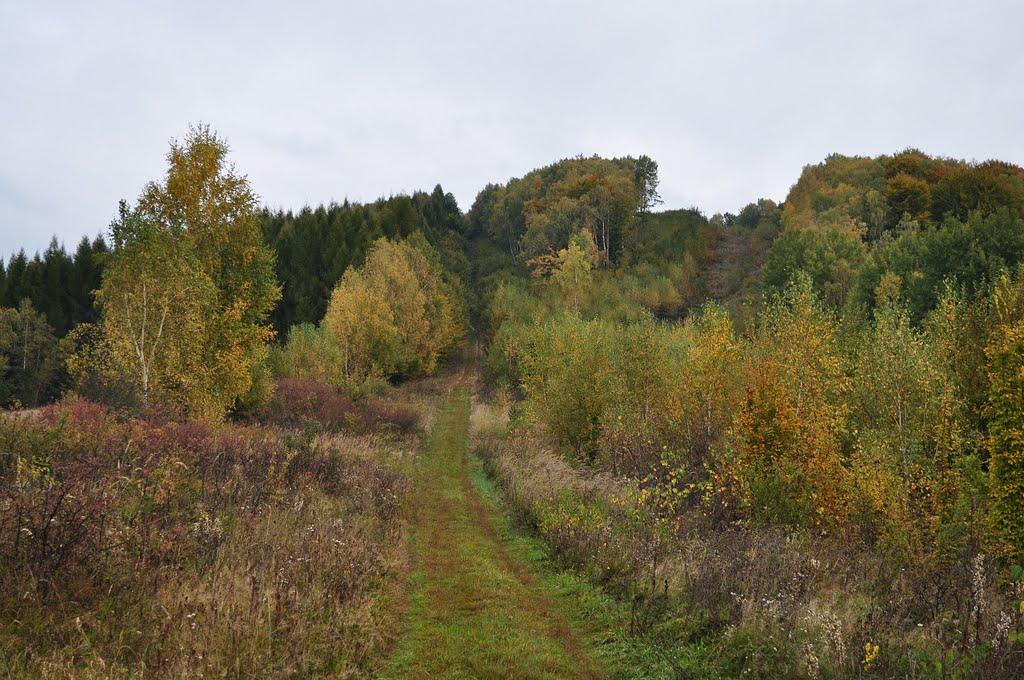 Завосина з panoramio.com (ч.2) - Завосина