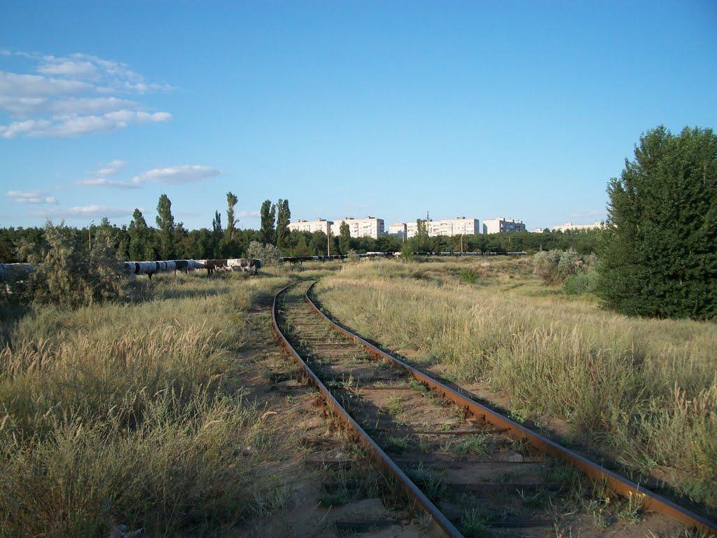 Новобогданівка з panoramio.com - Новобогданівка