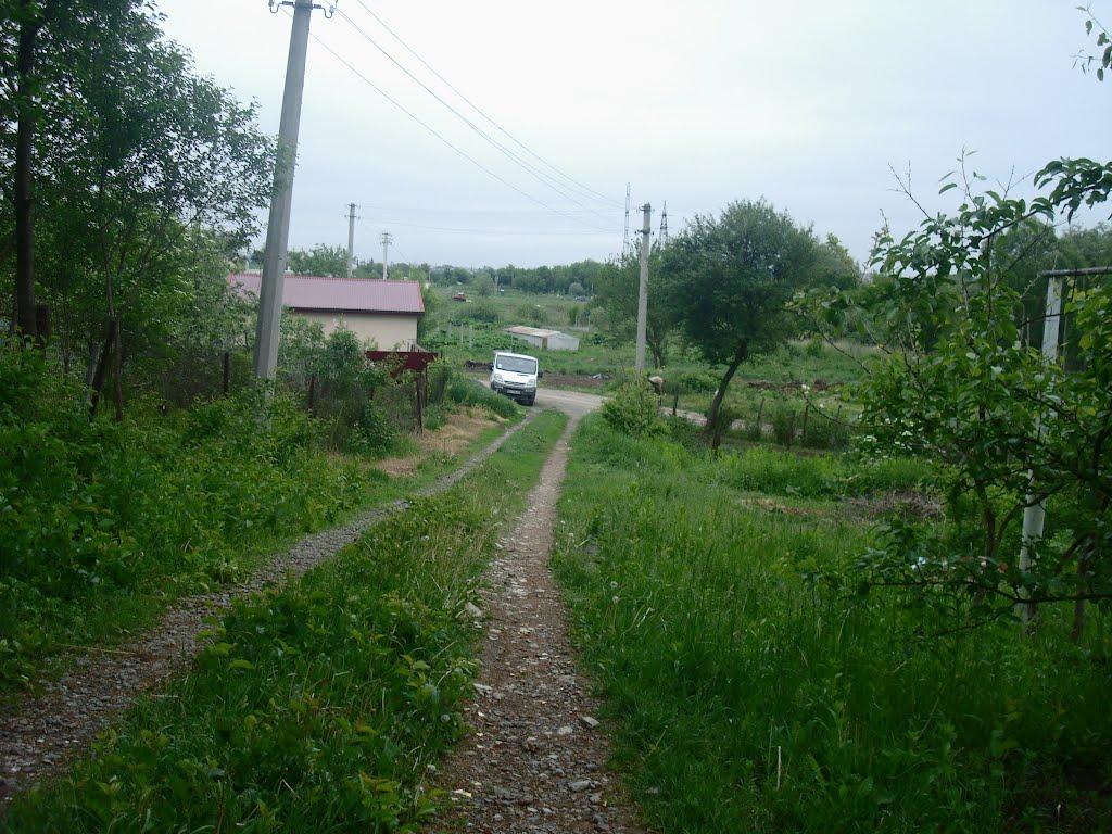 Хмельницький з panoramio.com (ч.13) - Хмельницкий