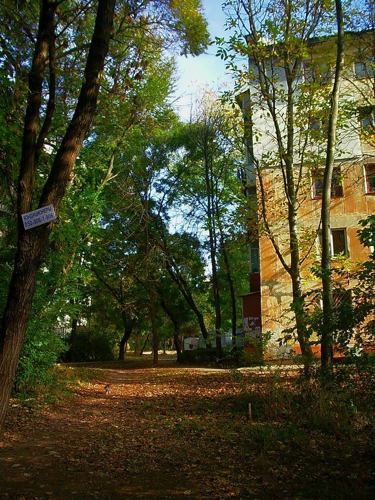 Сімферополь з panoramio.com (ч.13) - Сімферополь