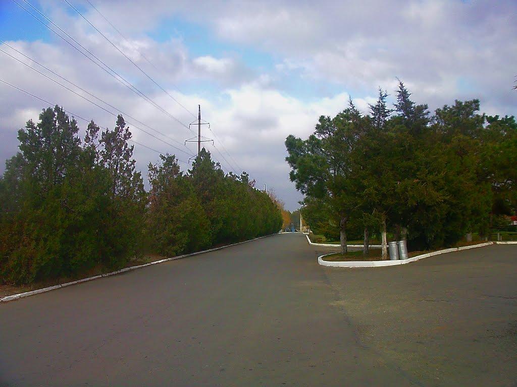 Молодіжне з panoramio.com - Молодіжне