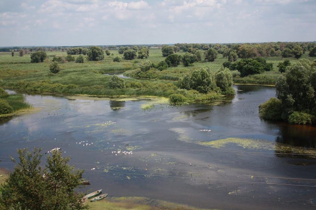 Тарасівка з panoramio.com - Тарасівка