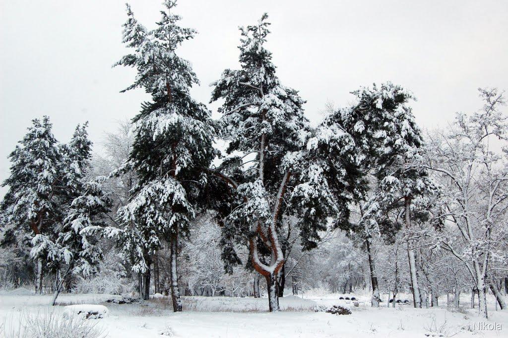 Сєверодонецьк з panoramio.com (ч.3) - Северодонецк