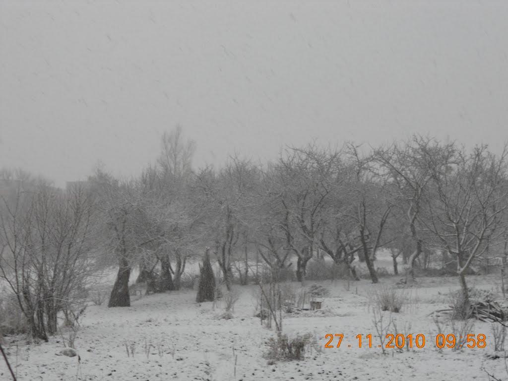 Новий Розділ з panoramio.com - Новий Розділ