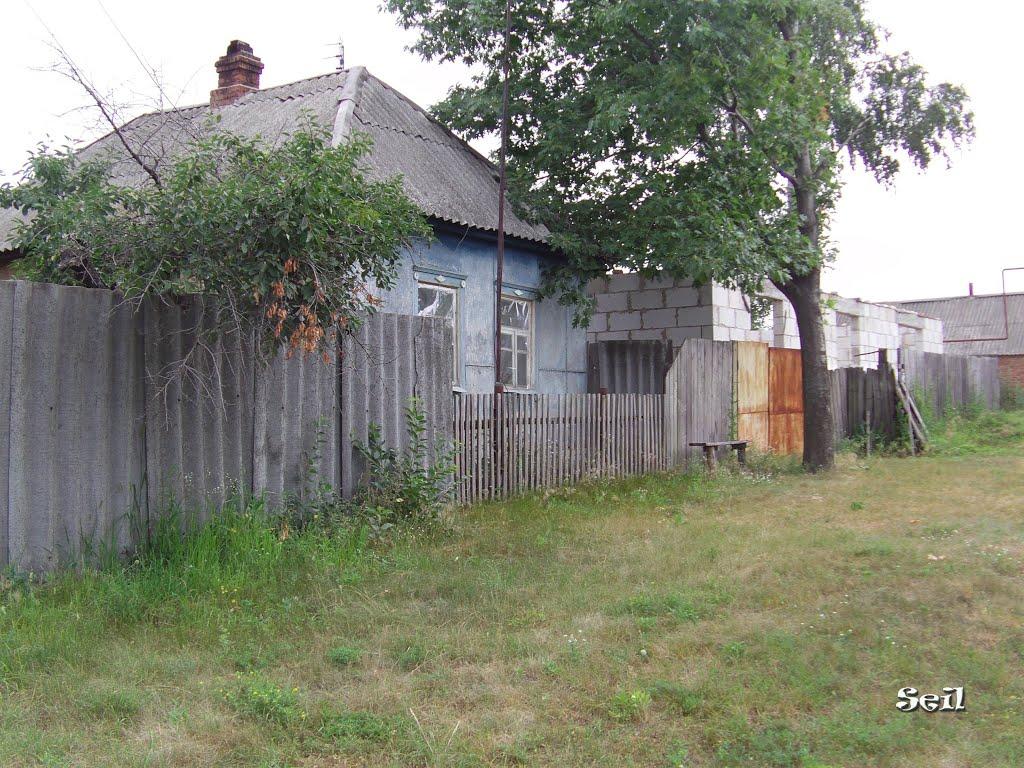 Бездрик з panoramio.com - Бездрик