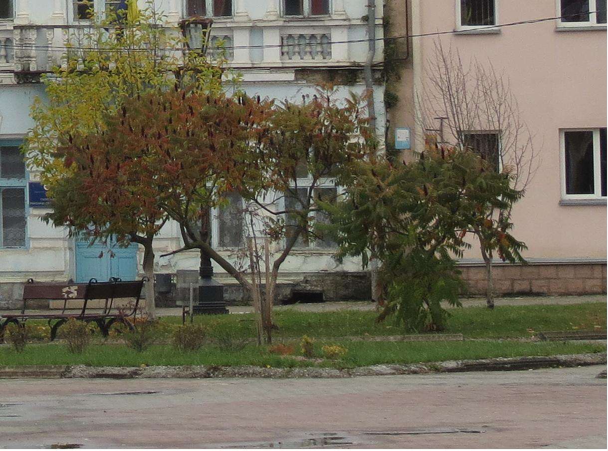 ВУЛИЦЯМИ СТАРОГО МІСТА - Галич