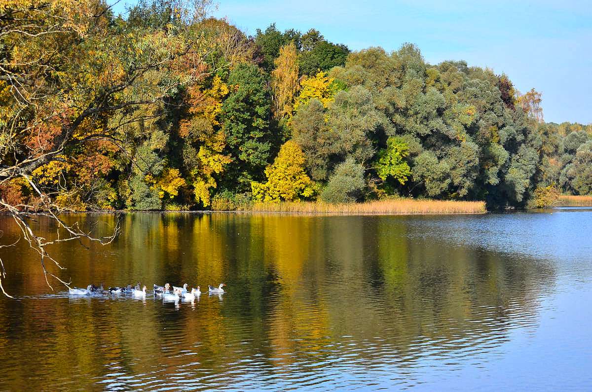 Барви осені - Іваниця