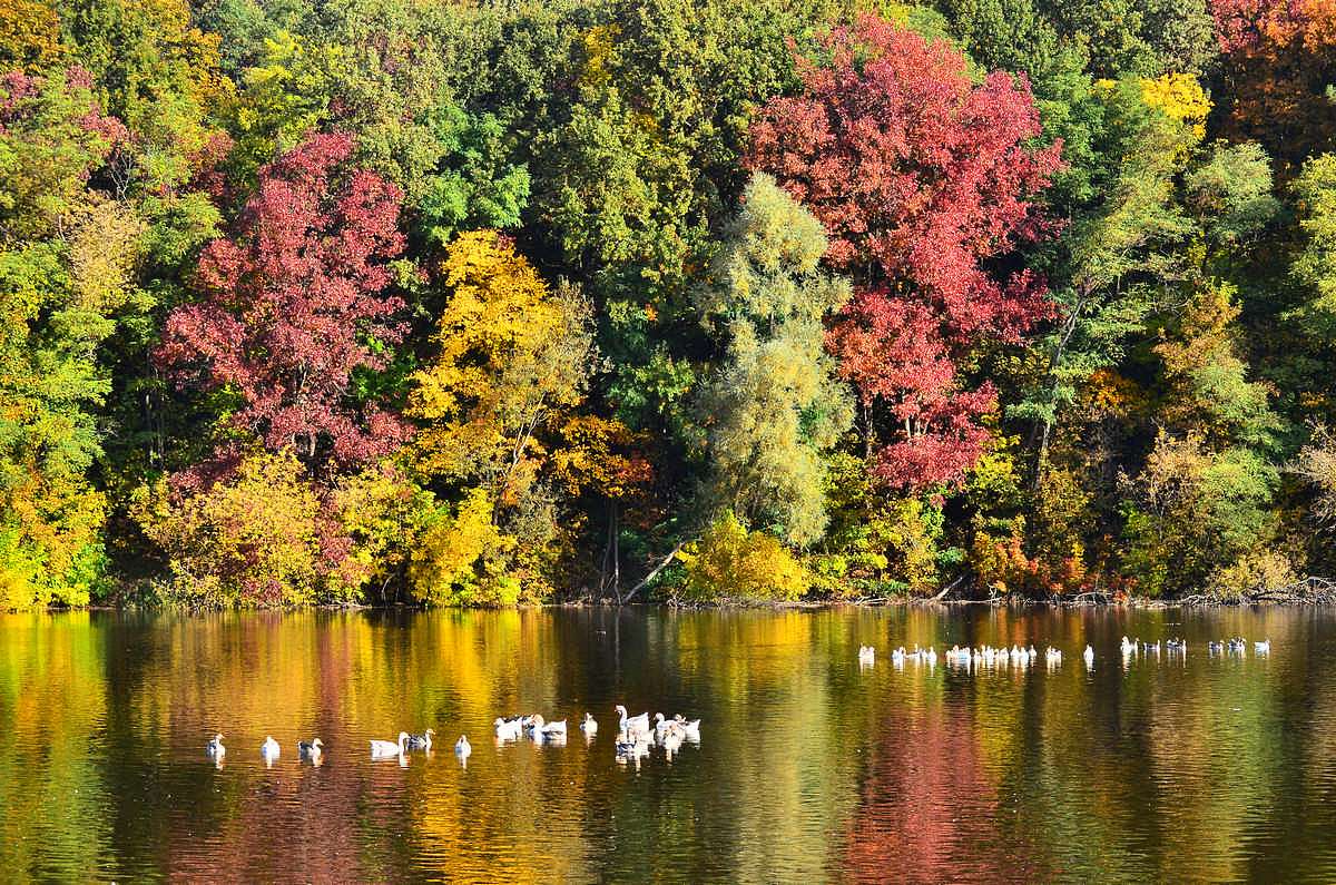 Барви осені - Іваниця
