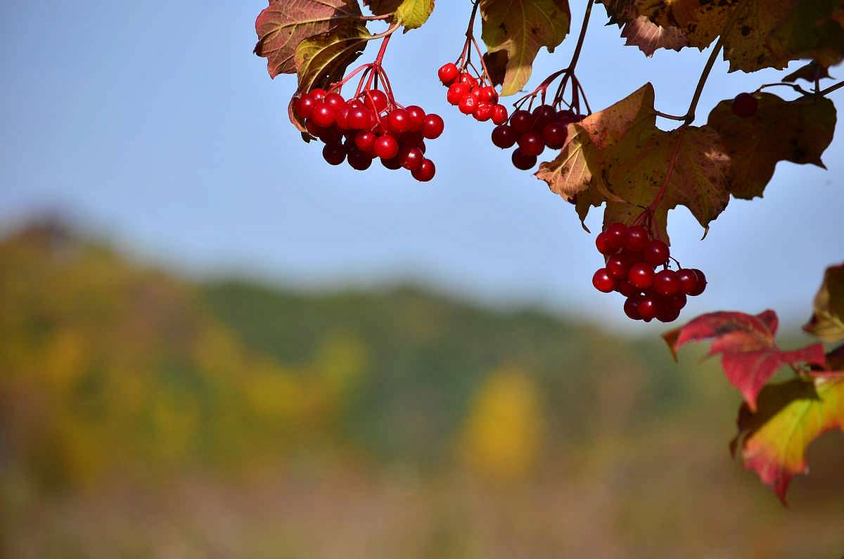 Барви осені - Іваниця