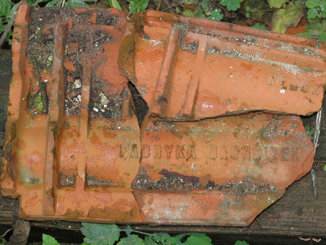 ПОМОРЯНИ ЗАСЛУГОВУЮТЬ УВАГИ ТУРИСТІВ - Поморяны