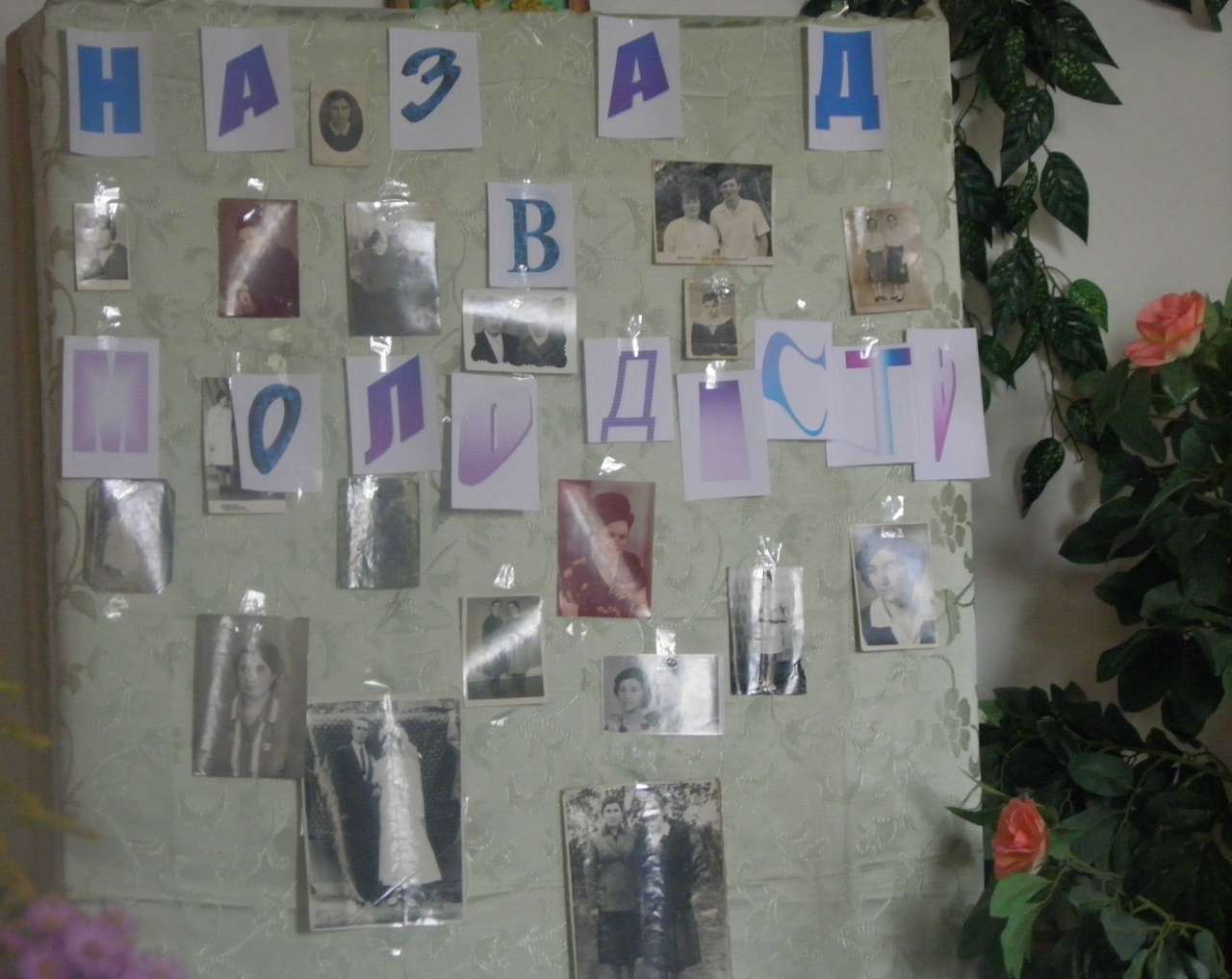 Бібліотека - Кальниболота