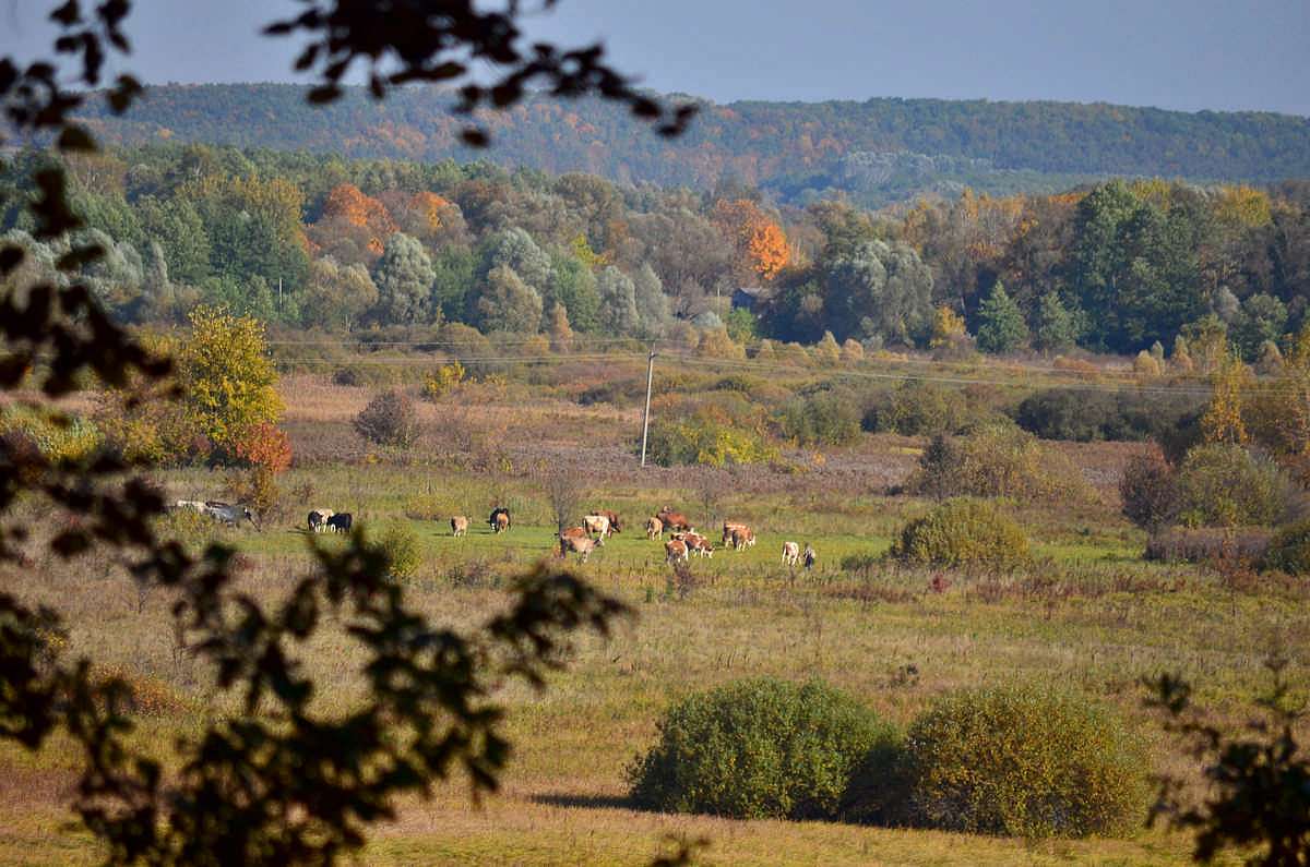 Барви осені - Іваниця