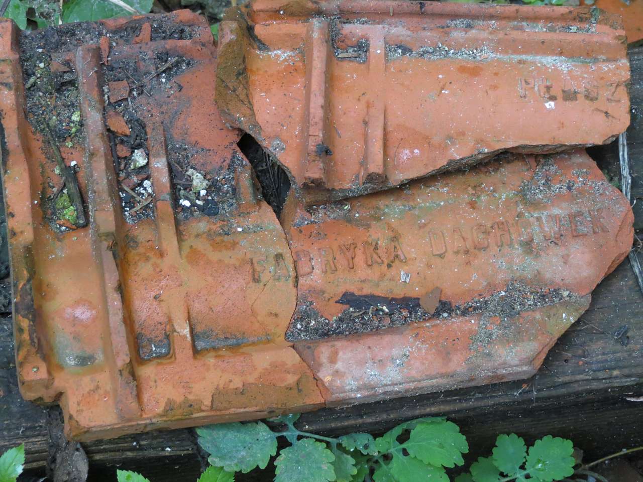 ПОМОРЯНИ ЗАСЛУГОВУЮТЬ УВАГИ ТУРИСТІВ - Поморяны