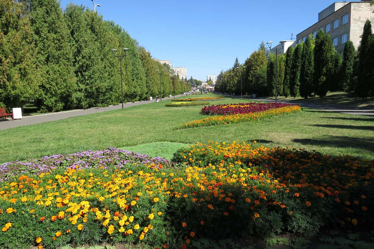 РІВНЕ. ЦЕНТР. 2016 - Рівне