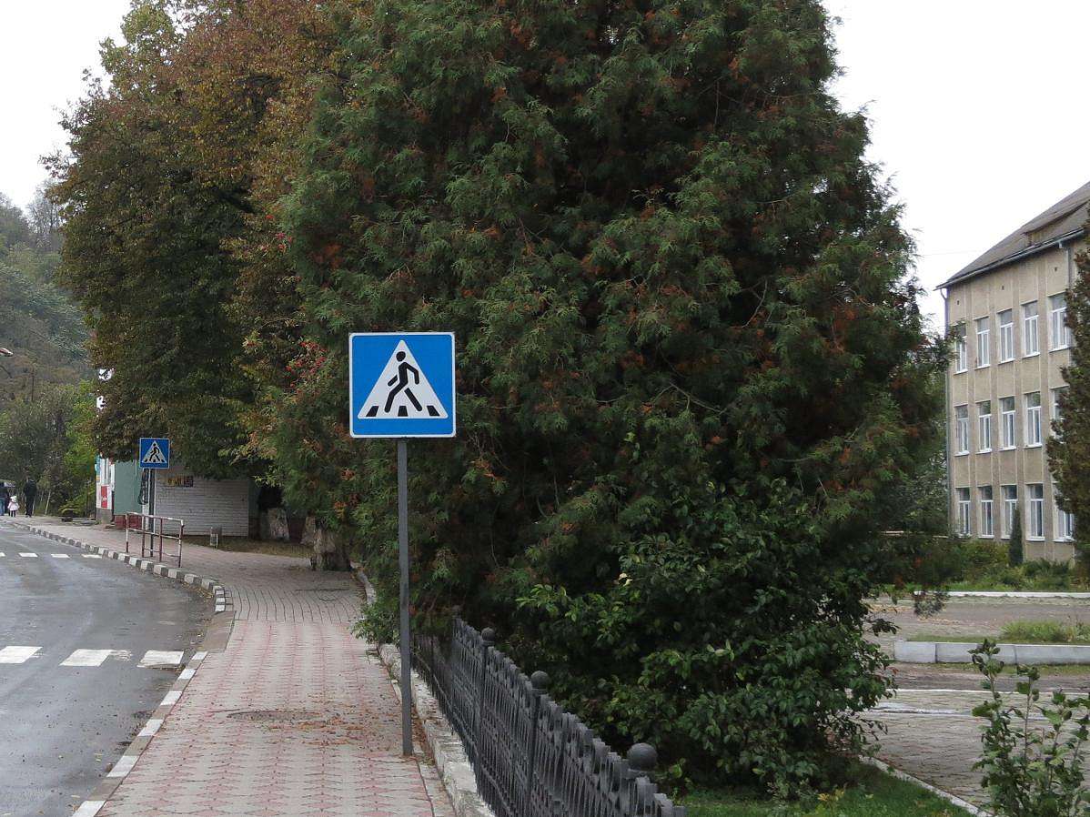 ВУЛИЦЯМИ СТАРОГО МІСТА - Галич