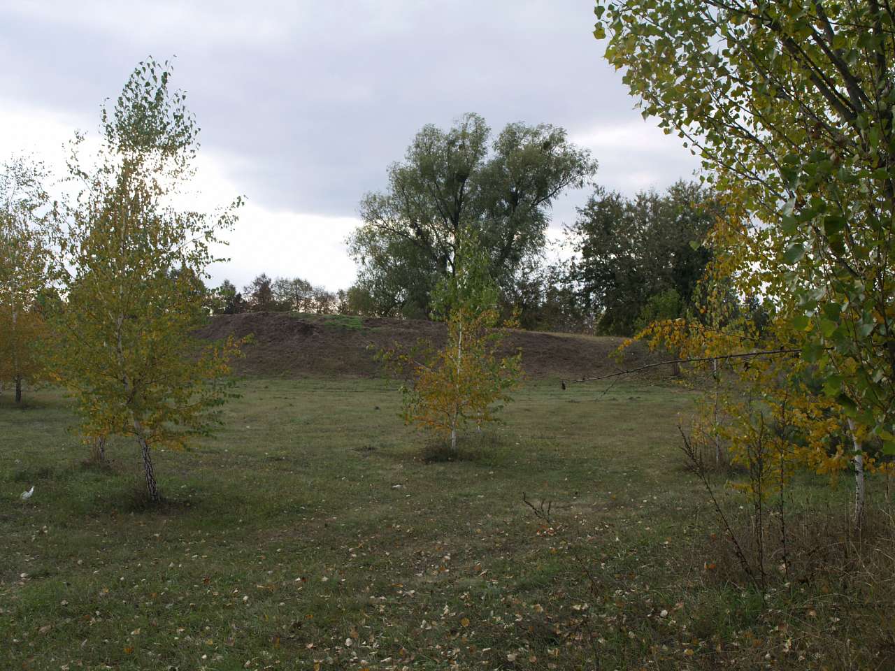 Білогородка - Білогородка