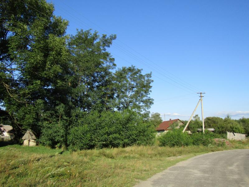 Полісся... - Бартуха