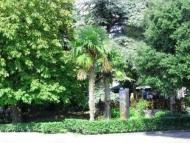 Ялта - Останні фото