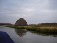 Вовчиці - Останні фото