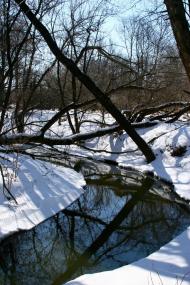 Велика Бугаївка - Останні фото