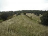 Охотниче з panoramio.com (ч.3)