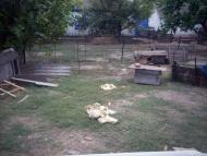 Pershokostyantynivka - Latest photos