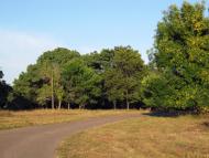 Popasna - Latest photos