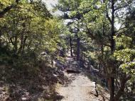 Гаспра з panoramio.com (ч.2)