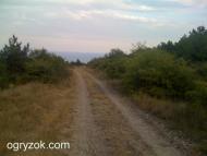 Pheodosia - Latest photos