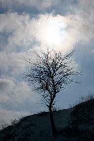 Велика Бугаївка - Останні фото