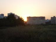 Крижанівка - Останні фото