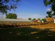 Кочергино - Последние фото