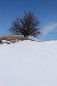 Велика Бугаївка з panoramio.com