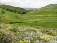 Генеральське - Останні фото