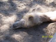 Озера - Останні фото