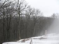 Стужиця - Останні фото