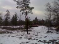 Чернеччина з panoramio.com