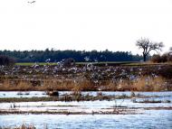 Усичі з panoramio.com