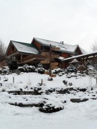 Бояни - Останні фото