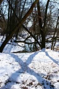 Велика Бугаївка - Останні фото