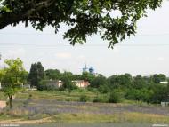 Коньково - Последние фото