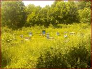 Нова Слобода - Останні фото