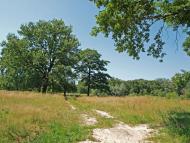 Буланове з panoramio.com