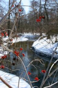 Луб'янка з panoramio.com