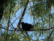 Сєверодонецьк - Останні фото