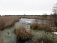 Любівщина з panoramio.com