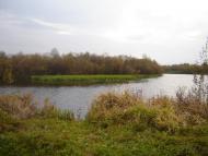 Вовчиці - Останні фото