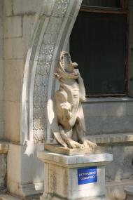 Масандра з panoramio.com